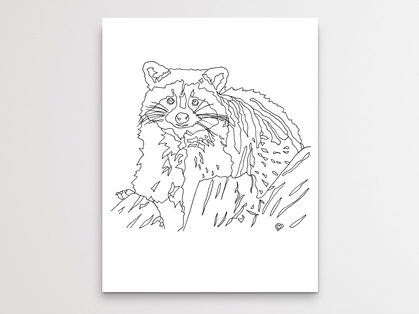 Raccoon Art Print. State Symbol Raccoon