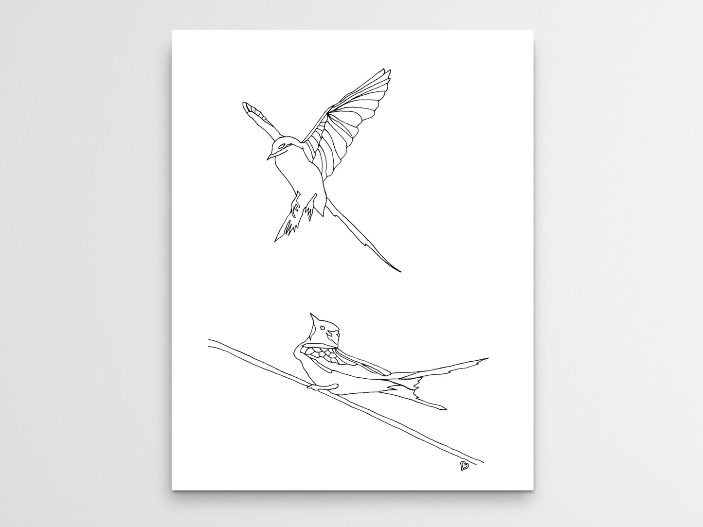 Oklahoma State Bird. Scissor-Tailed Flycatcher Art Print. Oklahoma State Symbol Scissor Tail Flycatcher Art