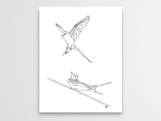 Oklahoma State Bird. Scissor-Tailed Flycatcher Art Print. Oklahoma State Symbol Scissor Tail Flycatcher Art