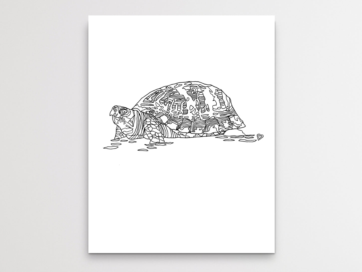 Pennsylvania State Turtle. Eastern Box Turtle Line Art Print