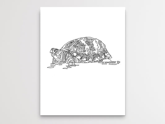 Pennsylvania State Turtle. Eastern Box Turtle Line Art Print