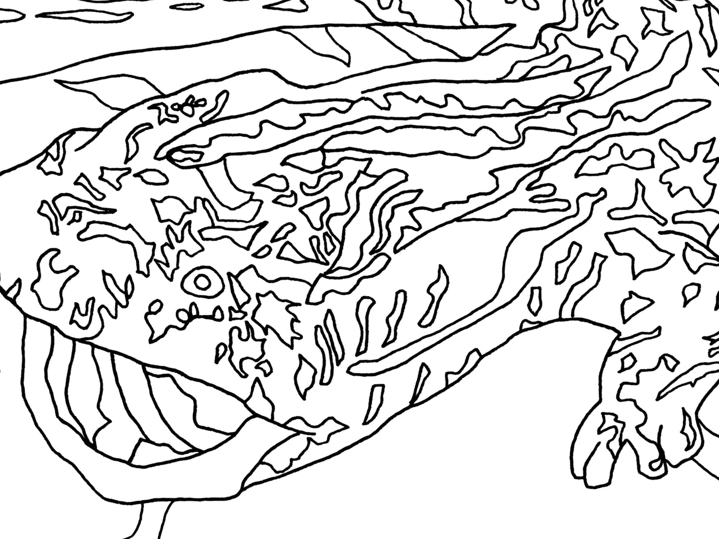 Pennsylvania State Hellbender. Eastern Hellbender Line Art Print 1
