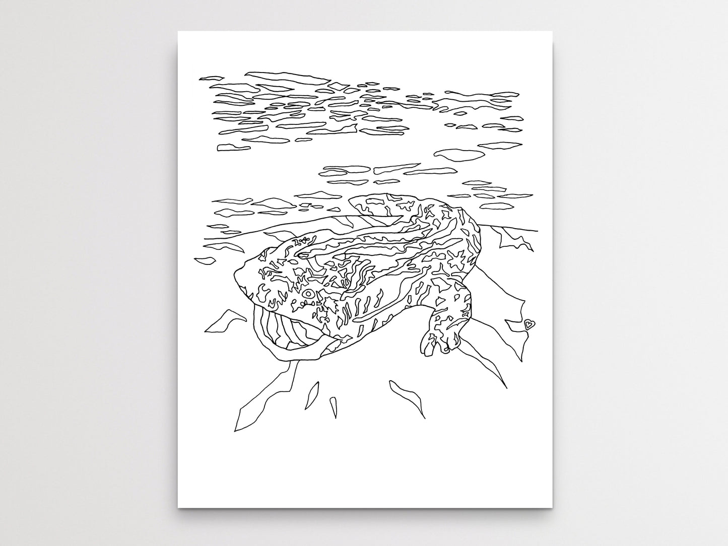 Pennsylvania State Hellbender. Eastern Hellbender Line Art Print 1