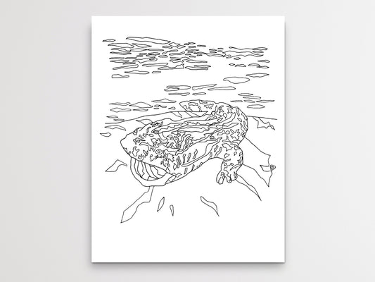 Pennsylvania State Hellbender. Eastern Hellbender Line Art Print 1