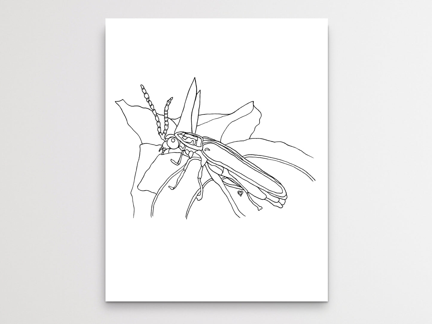 Pennsylvania State Insect. Firefly Art Print. Pennsylvania State Symbol Art