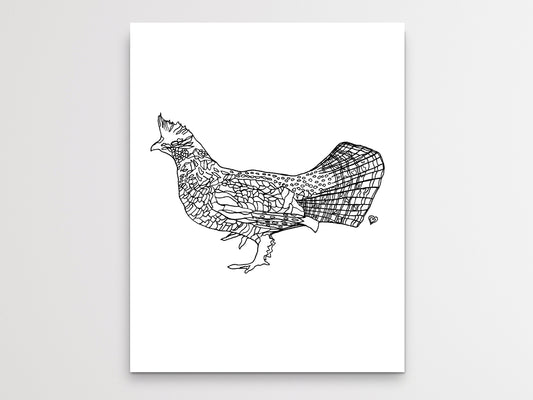 Pennsylvania State Bird. Ruffed Grouse Art Print. Pennsylvania State Symbol Art