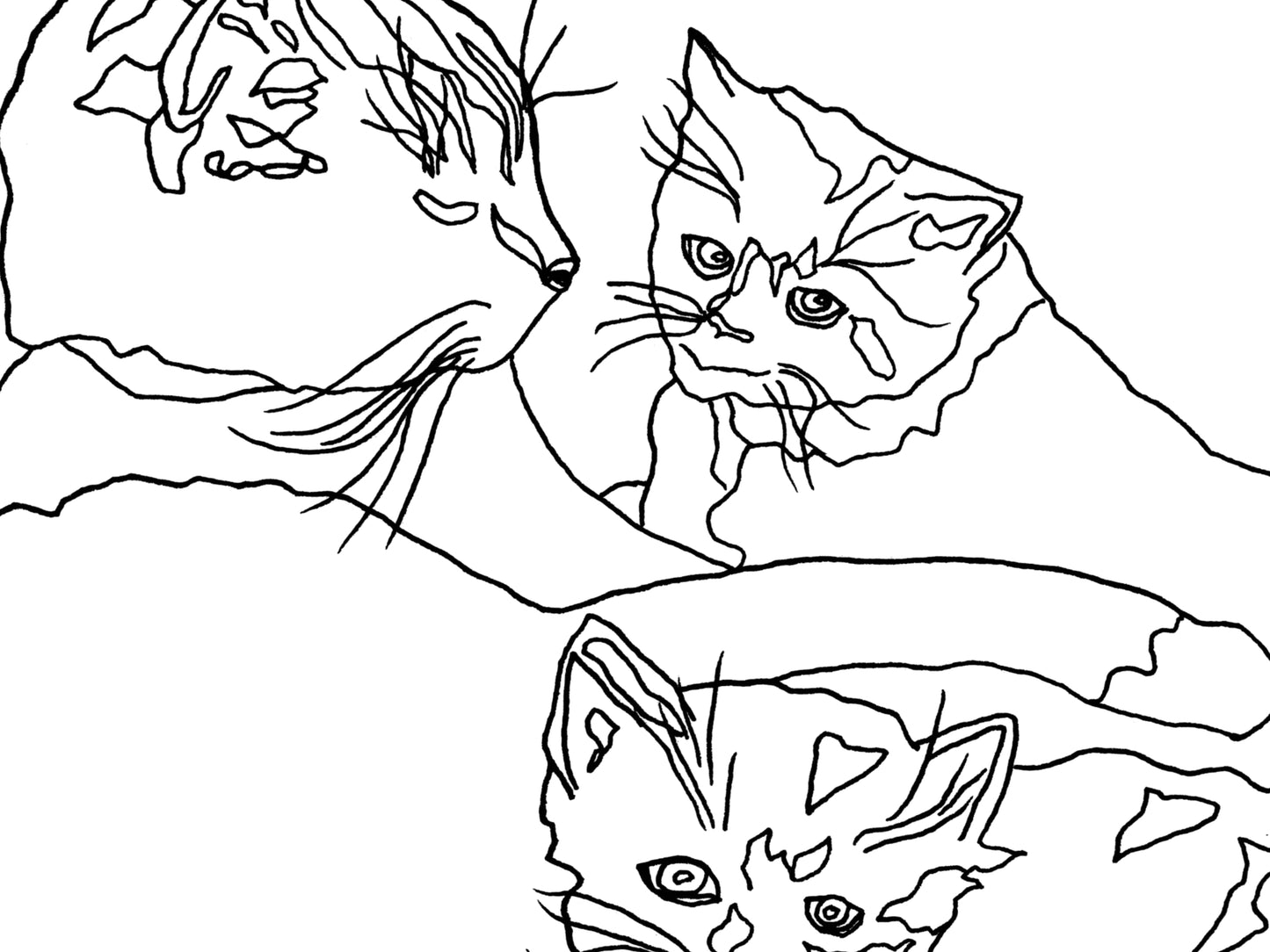 Pennsylvania State Shelter Cat. Cat and Kittens Line Art Print