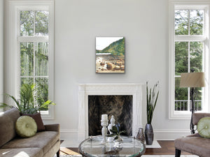 Pond Art Print