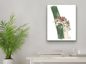 California State Frog. Red-Legged Frog Watercolor Art Print