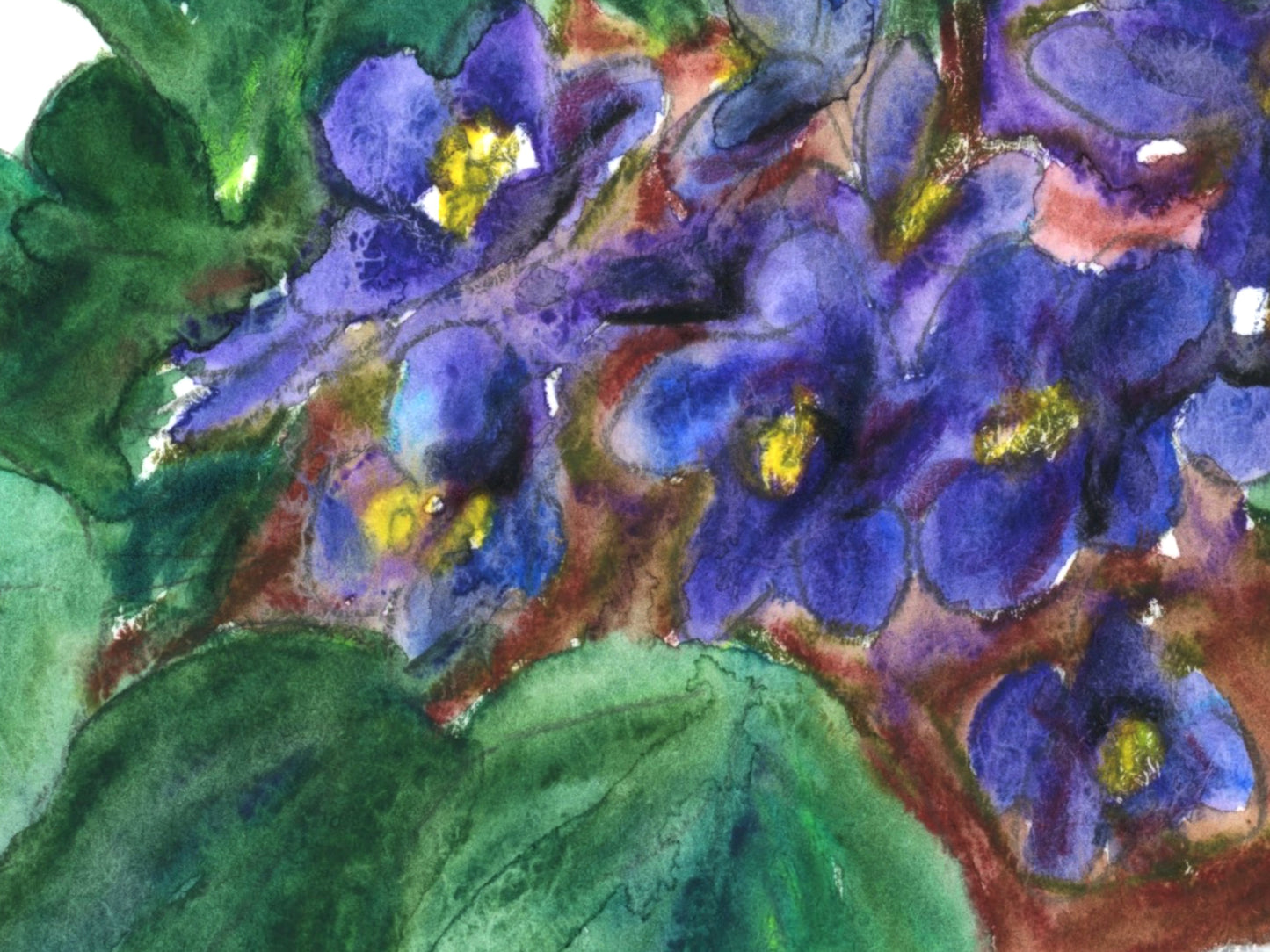 Violet Art Print