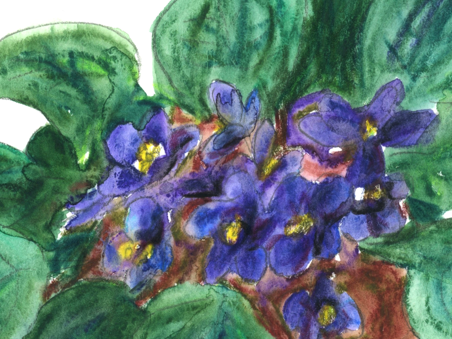 Violet Art Print