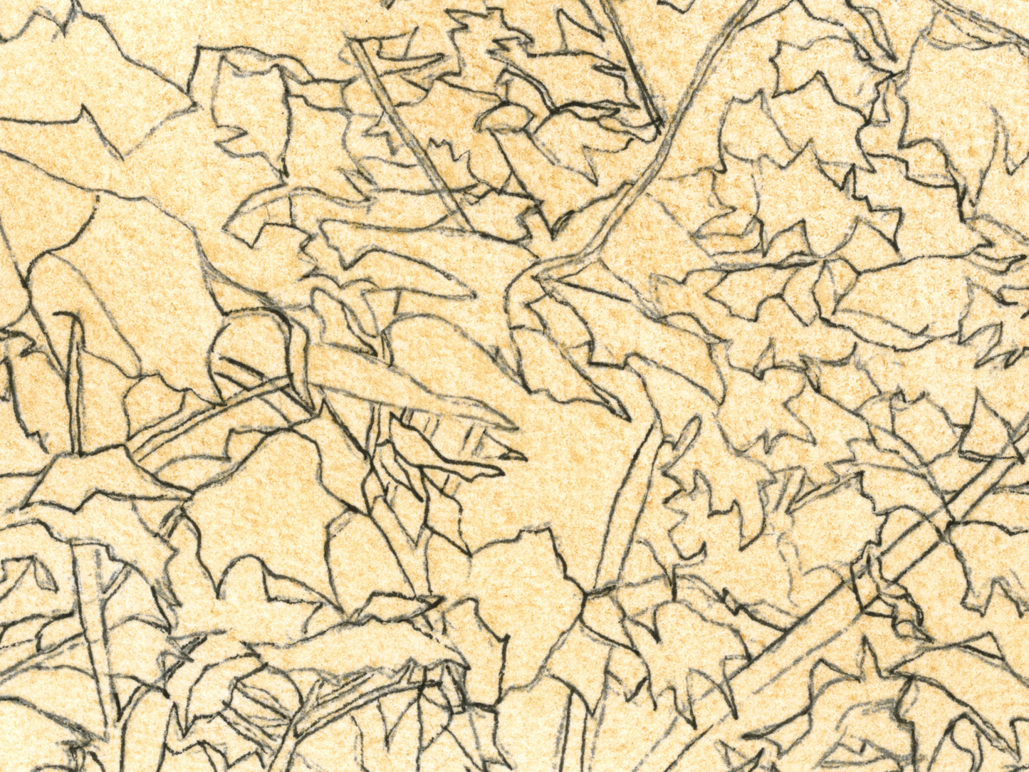 Watercolor and Ink Leaves 2 Art Print