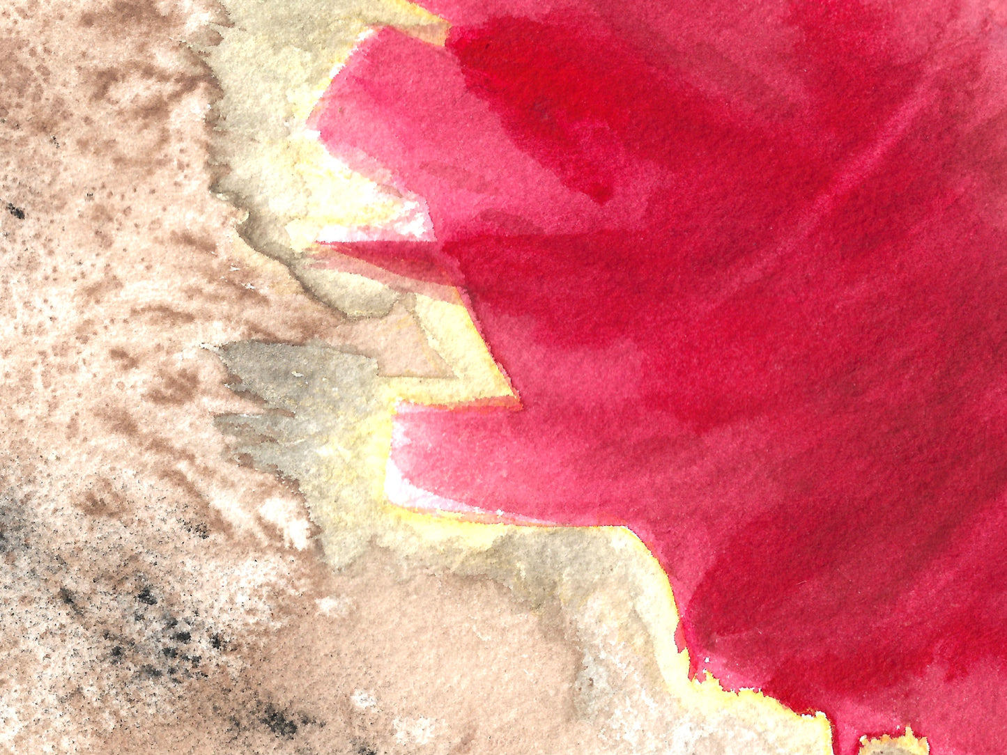 Poppy Art Print
