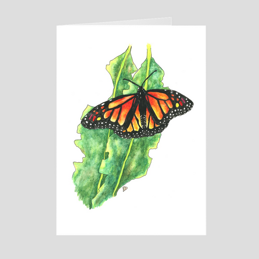 Monarch Butterfly Greeting Card