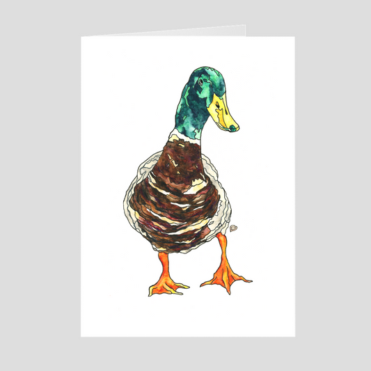 Duck Greeting Card