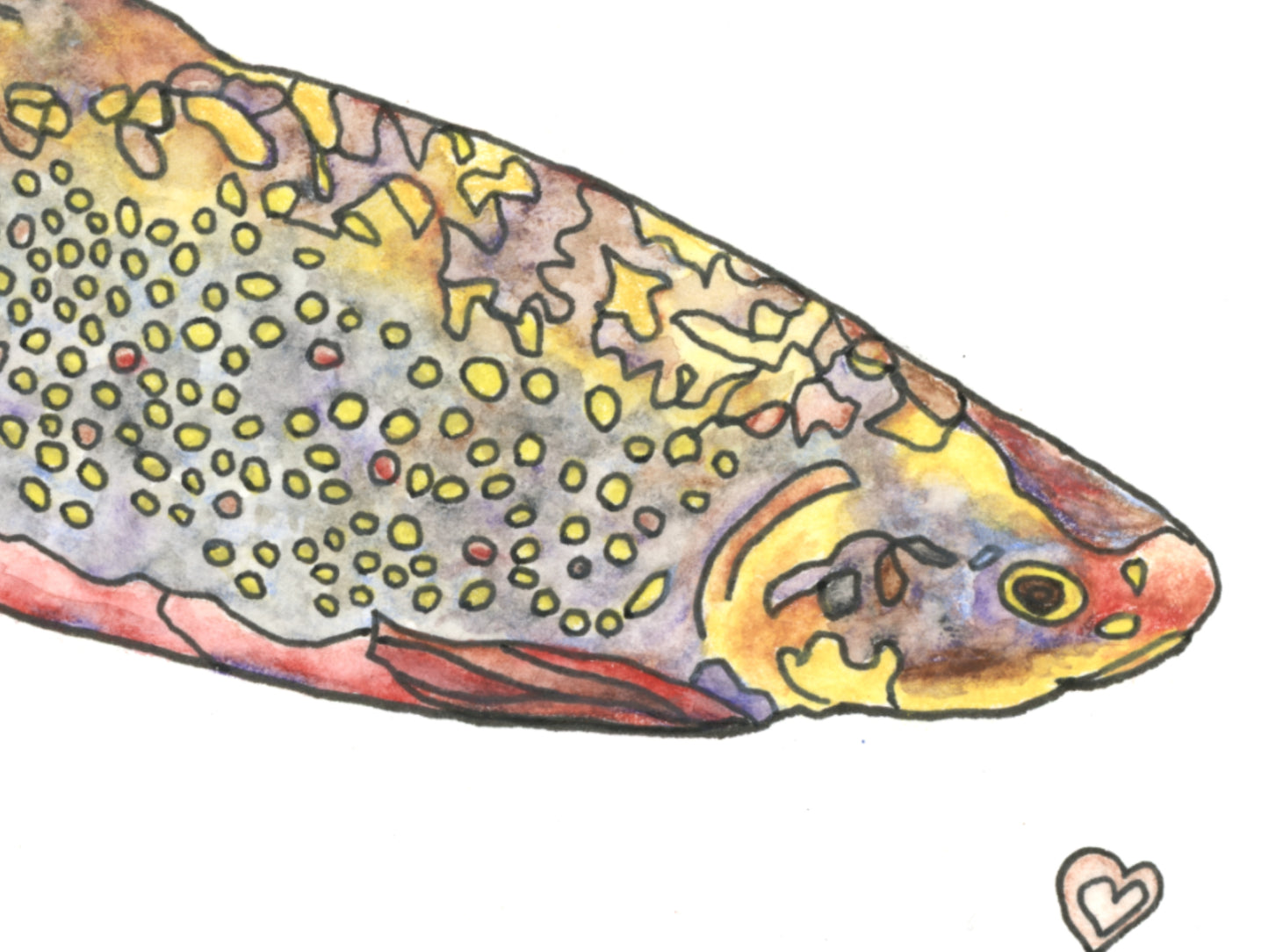State Fish Art. Brook Trout Watercolor Art Print.
