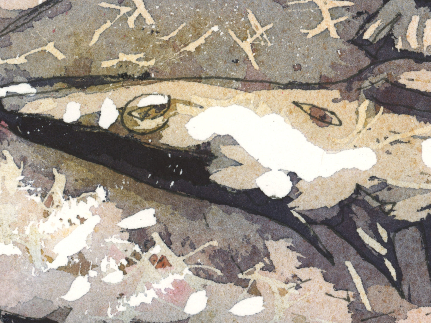 Fish 2 Art Print