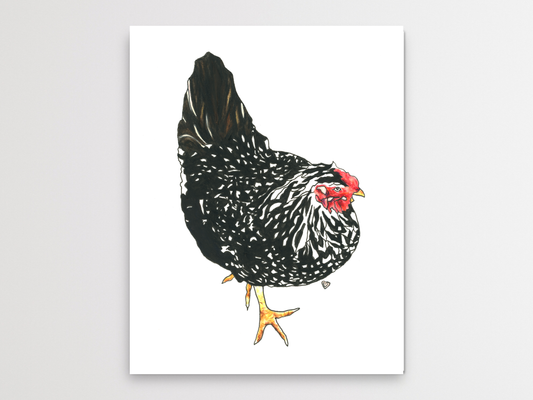 Black Chicken With White Spots Watercolor Print