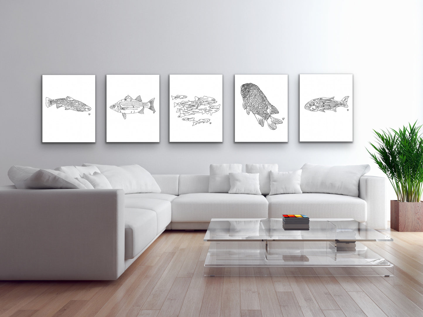 Maryland State Fish. Rockfish Art Print. Maryland State Symbol Art