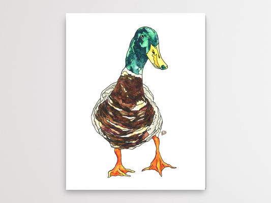 Duck Watercolor Print