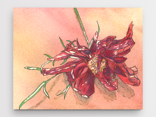 Flower on Table Art Print