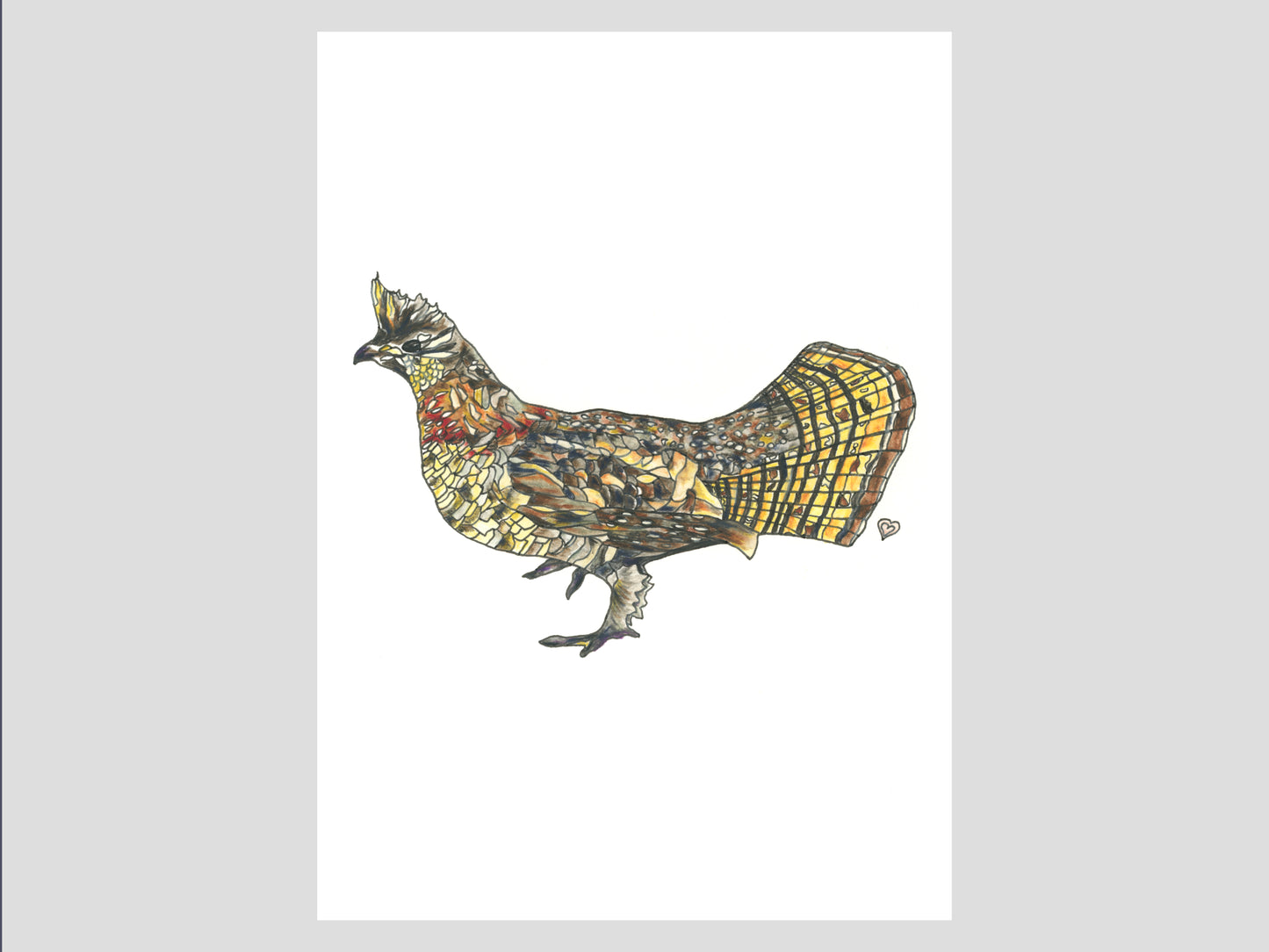 Ruffed Grouse Watercolor Print