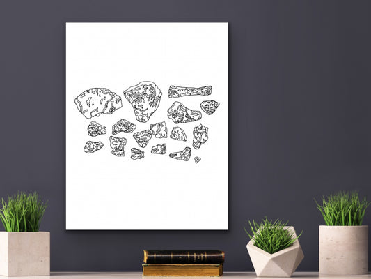 Maryland State Dinosaur Astrodon Johnstoni Bones Line Art Print. Maryland State Symbol