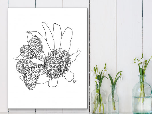 Maryland State Butterfly Print. Baltimore Checkerspot Butterfly Art