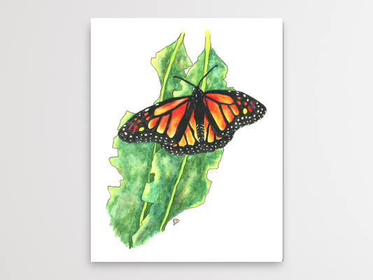 Monarch Butterfly Art Print. State Symbol Art. State Butterfly.