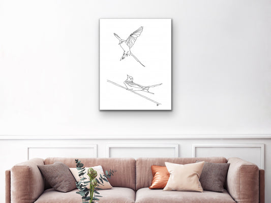 Oklahoma State Bird. Scissor-Tailed Flycatcher Art Print. Oklahoma State Symbol Scissor Tail Flycatcher Art