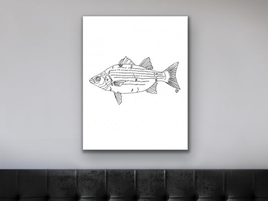 Oklahoma State Fish. White Bass Art Print. Oklahoma State Symbol Art