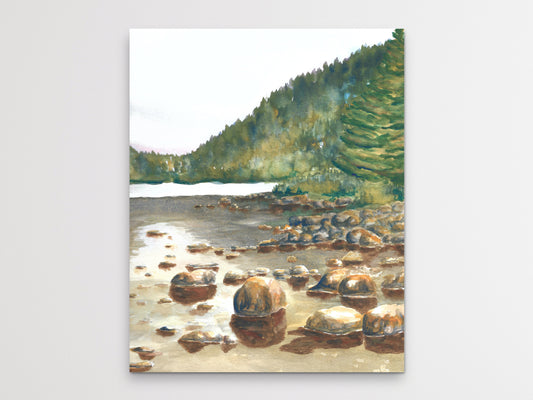 Pond Art Print