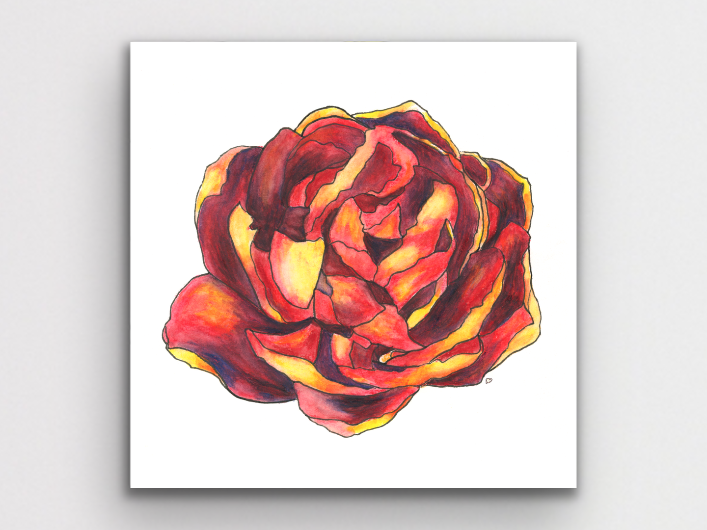 Red Flower Watercolor Art Print