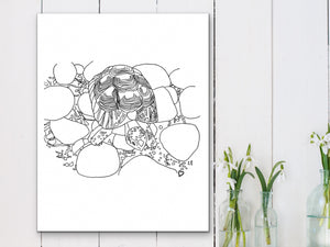 Turtle Art Print
