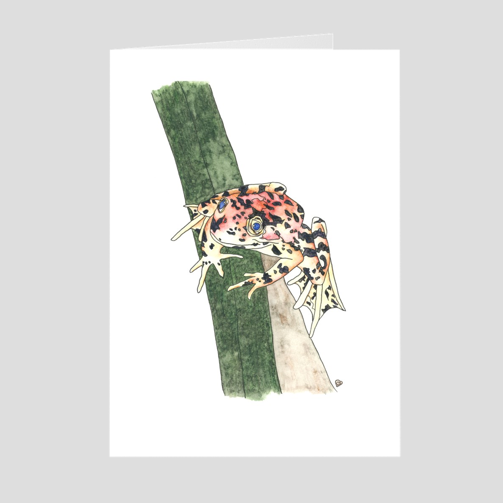 Red Legged Frog Greeting Card